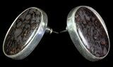 Agatized Dinosaur Bone (Gembone) Earrings & Pendant Set #69972-3